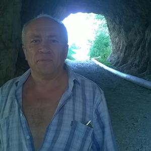Михаил, 68 лет, Прохладный