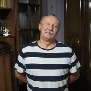 Александр, 70 лет, Ставрополь