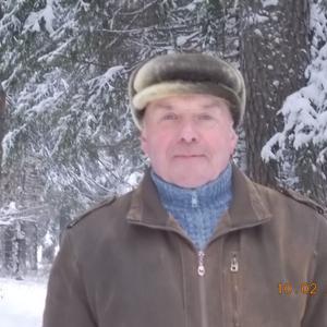 Парни в Ижевске: Михаил, 75 - ищет девушку из Ижевска
