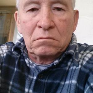 Сергей Ершов, 71 год, Новочеркасск