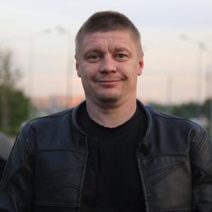 Александр Гоган, 43 года, Минск