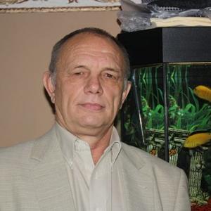 Виктор, 64 года, Ростов-на-Дону