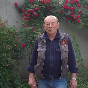 Михаел, 71 год, Краснодар