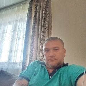 Геннадий, 39 лет, Витебск
