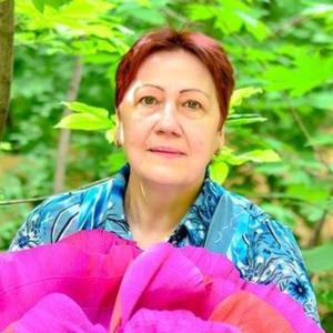 Галина, 64 года, Донецк