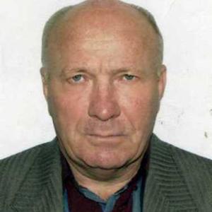 Александр, 65 лет, Волгоград