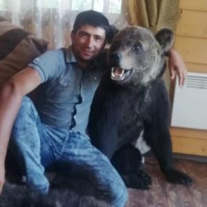 Мурат, 32 года, Брянск