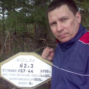 Дмитрий, 51 год, Чехов