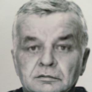 Виктор, 68 лет, Новосибирск