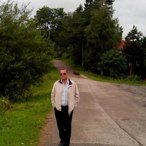 Парни в Вологде: Алексей, 64 - ищет девушку из Вологды