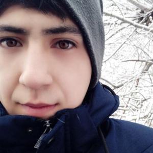Шахзод, 23 года, Ташкент