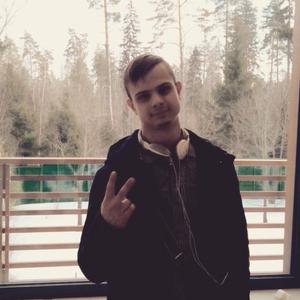 Denis, 29 лет, Бобруйск