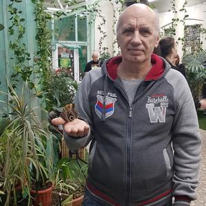 Парни в Балашихе: Сергей, 65 - ищет девушку из Балашихи