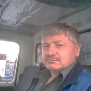 Сергей Мерекин, 68 лет, Нижний Новгород