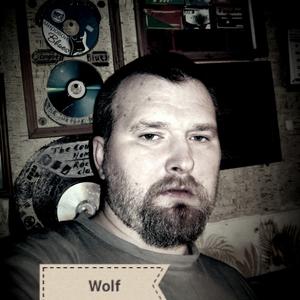 Wolf, 41 год, Пермь
