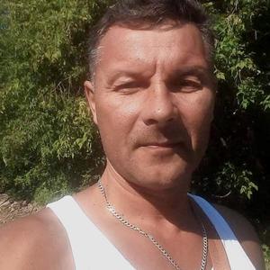 Игорь, 51 год, Кинешма
