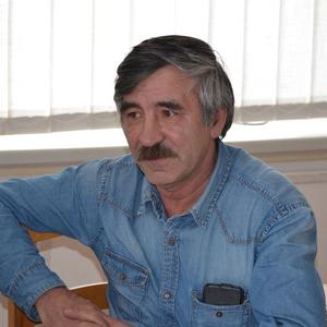 Salavat, 64 года, Павловка