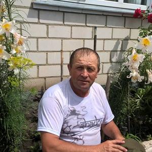 Сергей Морозов, 65 лет, Воронеж