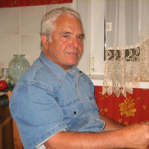 Валерий Григорянц, 76 лет, Москва