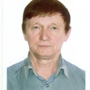 Геннадий, 73 года, Льгов
