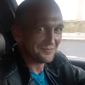 Дима Карасев, 42 года, Полоцк