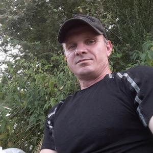 Андрей, 41 год, Калуга