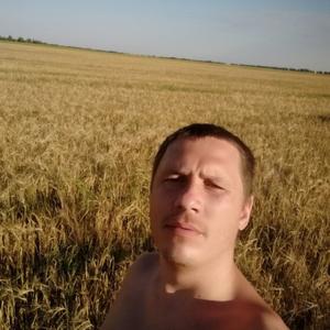 Алексей Борков, 33 года, Ульяновск