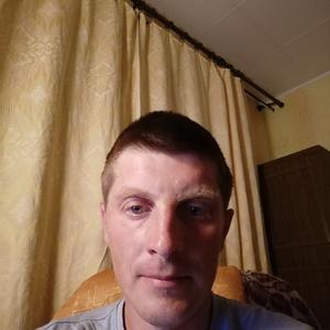 Саша, 42 года, Владимир