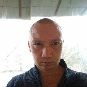 Дмитрий, 43 года, Житомир