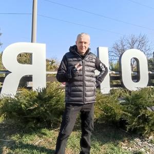 Дмитрий Шпаков, 47 лет, Ростов-на-Дону
