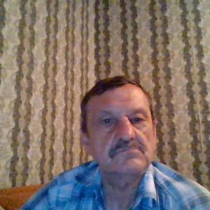 Николай Василюк, 66 лет, Ростов-на-Дону