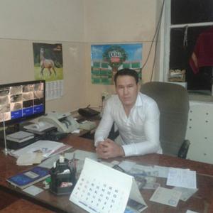 Косимбек, 41 год, Ташкент