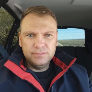 Алексей, 43 года, Новоаннинский