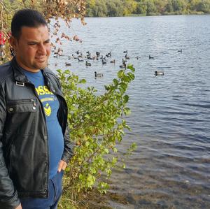 Фарис Ал Лами, 43 года, Воронеж