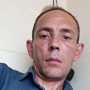 Владимир, 48 лет, Калуга
