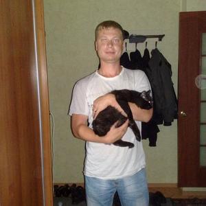 Парни в Ижевске: сергей, 41 - ищет девушку из Ижевска