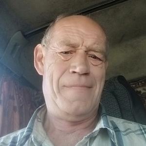 Николай, 64 года, Омск