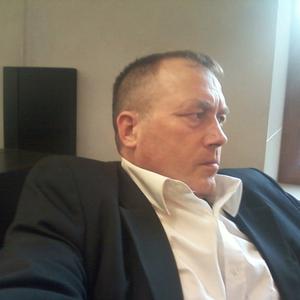 Анатолий Медведев, 59 лет, Ижевск