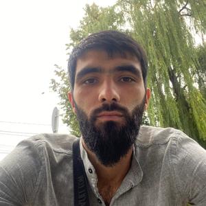 Ali, 28 лет, Краснодар