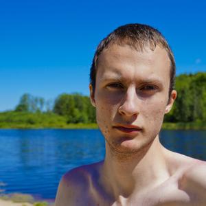 Роман, 29 лет, Москва