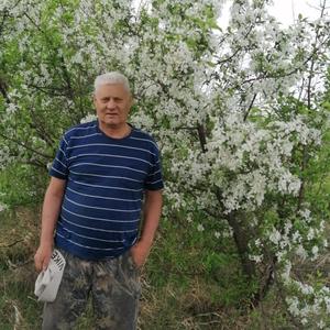Парни в Верхний Уфалее: Николай, 70 - ищет девушку из Верхний Уфалея