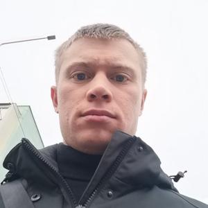 Сергей Малыхин, 29 лет, Тоцкое
