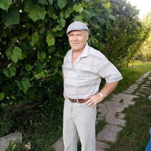 Анатолий Пичугин, 72 года, Новокузнецк