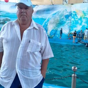 Парни в Сыктывкаре: Анатолий Забоев, 66 - ищет девушку из Сыктывкара