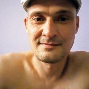 Хатико, 49 лет, Ростов-на-Дону