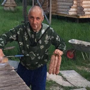 Казимир, 49 лет, Мытищи