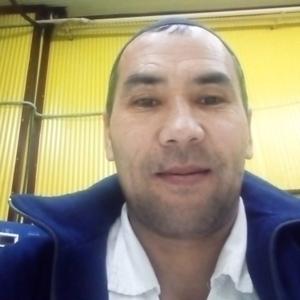 Хасан Мустафайев, 46 лет, Иркутск