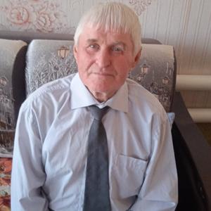 Валерий, 72 года, Челябинск