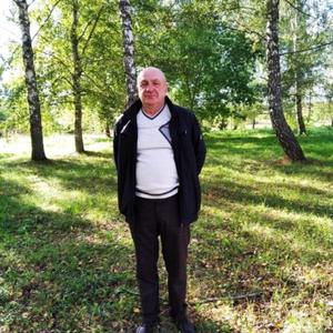 Владимир, 65 лет, Тула