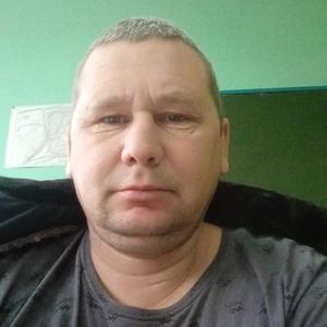 Николай, 42 года, Воронеж